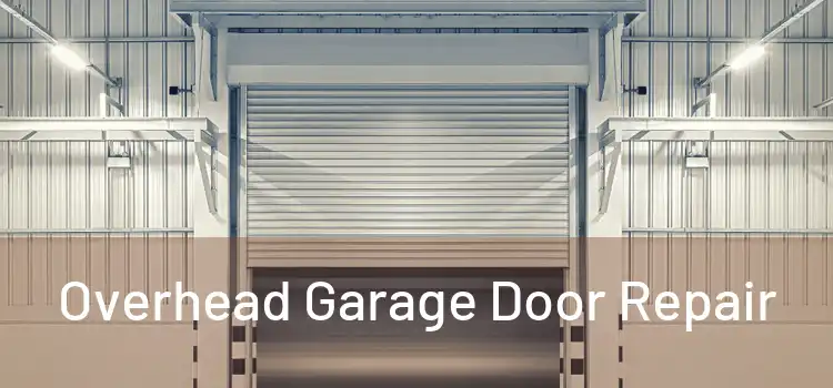  Overhead Garage Door Repair 